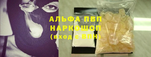 ГАЛЛЮЦИНОГЕННЫЕ ГРИБЫ Тайга